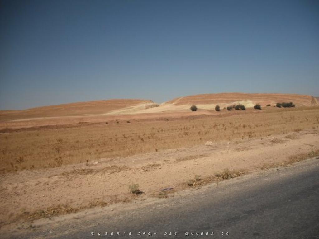 BEDEAU RAS EL MA AOUT 2009 (77).jpg